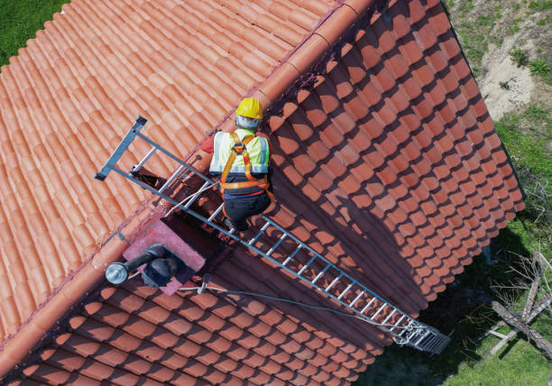 Best Metal Roofing Installation  in Volcano Golf Course, HI