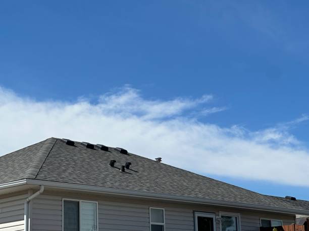 Volcano Golf Course, HI Roofing Company